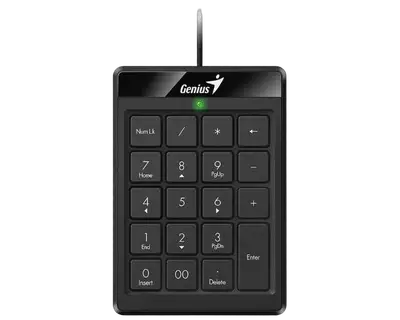 GENIUS NUMPAD 110 Tatatura numerieka, Crna, USB