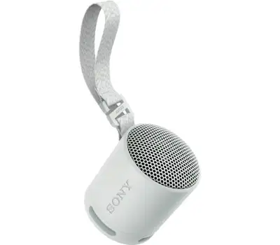 SONY SRSXB100H.CE7