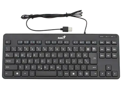 GENIUS LuxeMate 110, SER,USB,BLK