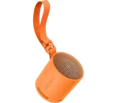 SONY SRSXB100D.CE7
