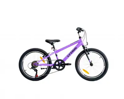 20'' CROSS HARMONY  /  Purple