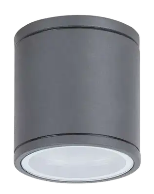 RABALUX Akron spoljna zidna lampaGU10 35W sivo IP54 2