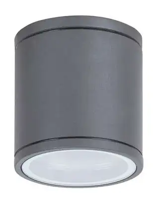 RABALUX Akron spoljna zidna lampaGU10 35W sivo IP54 2