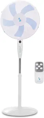 BEPER P206VEN131