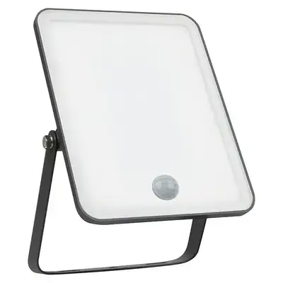 LEDVANCE Reflektor  Essential Sensor 30W 6500K crni