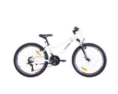 24" CROSS DAISY 2026  /  White