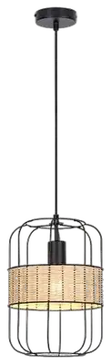 RABALUX Indiana, metal Visilica lampa, E27 1x MAX40W, mat cr