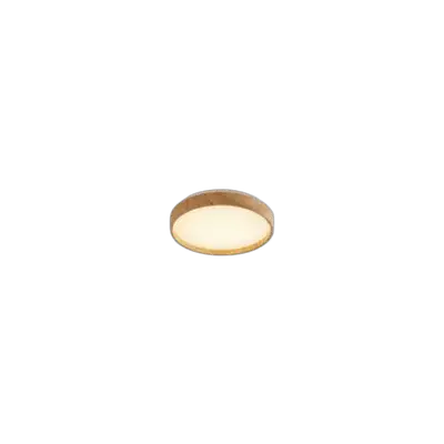 RABALUX Leana2 plafonjera LED12W D26cm