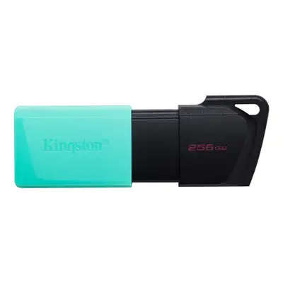KINGSTON 256GB DATA TRAVELER EXODIA M 3.2
