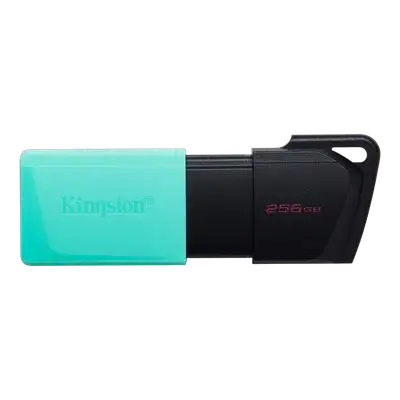 KINGSTON 256GB DATA TRAVELER EXODIA M 3.2