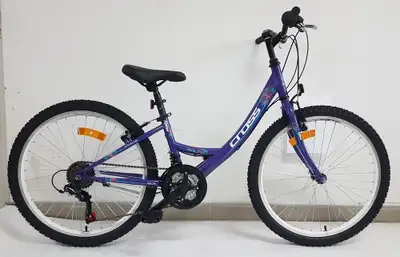 24 CROSS ALISSA  Purple 2022