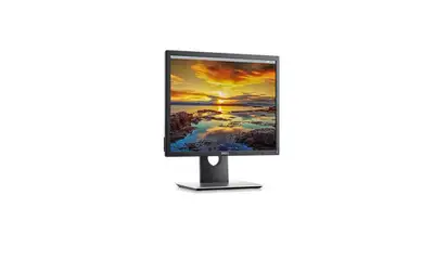 DELL P1917S
