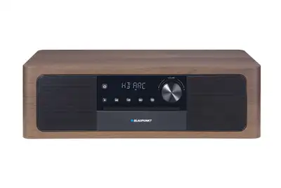 BLAUPUNKT MS22BT