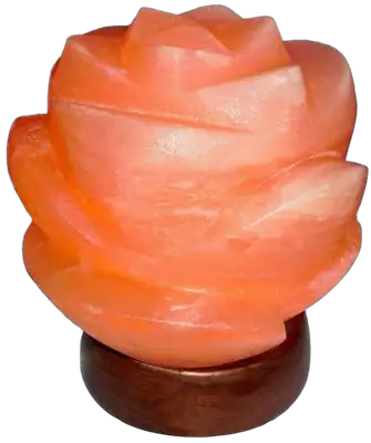 RABALUX Flores solna lampa E14 15W 90lm 2700K