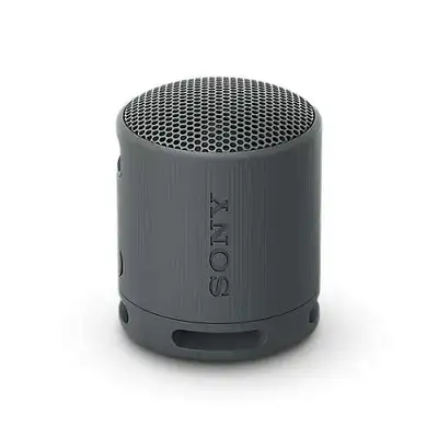 SONY SRSXB100B.CE7 crna