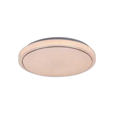 RABALUX Trevor2 plafonjera LED12W D29cm