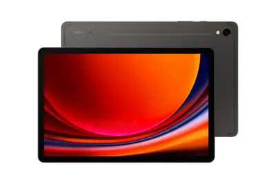 SAMSUNG Galaxy Tab S9 WiFi 12GB / 256GB Gray SM-X710NZAEEUC