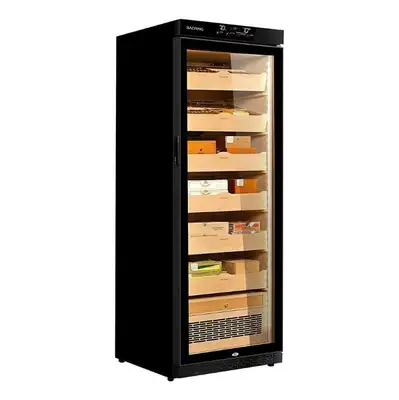 RACHING RMON2800A