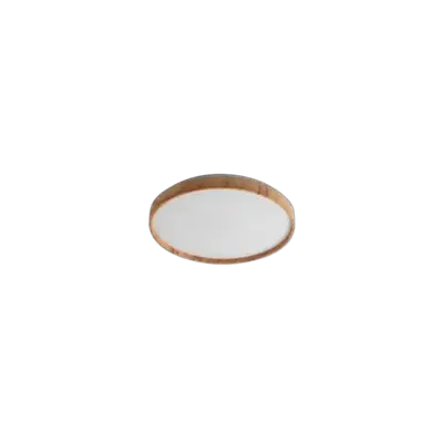 RABALUX Leana2 plafonjera LED24W D38 5cm