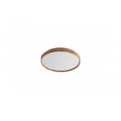 RABALUX Leana2 plafonjera LED24W D38 5cm