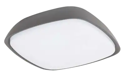 RABALUX Austin spoljna plafonjera LED 20W sivo IP65