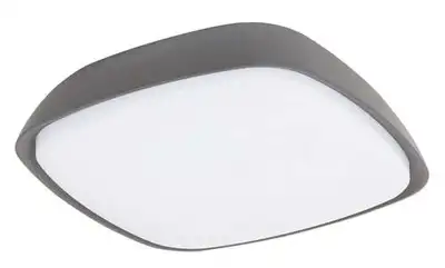 RABALUX Austin spoljna plafonjera LED 20W sivo IP65