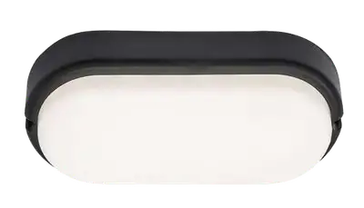 RABALUX Hort spoljna zidna ili plafonska LED lampa: 15W 1100lm 4000K 2