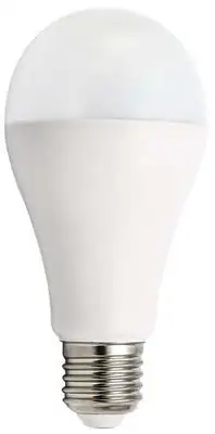 RABALUX SMD LED sijalica, belo, metal+plastika, E27 A65, 2450