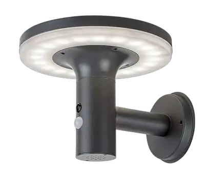 RABALUX Botev senzor spoljna solarna zidna lampa antracit siva od nerdajuceg celika 10W 250lm 4000K