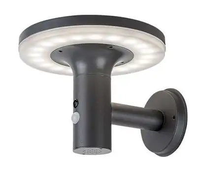 RABALUX Botev senzor spoljna solarna zidna lampa antracit siva od nerdajuceg celika 10W 250lm 4000K