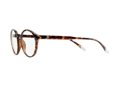 BARNER Le Marais Glossy Tortoise