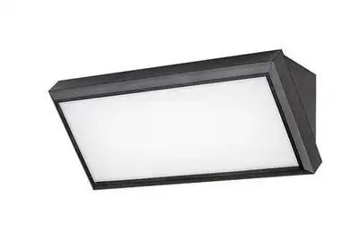 RABALUX Rapla spoljna zidna lampa: 1000lm