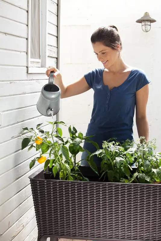 KETER Easy grow 120L viski braon