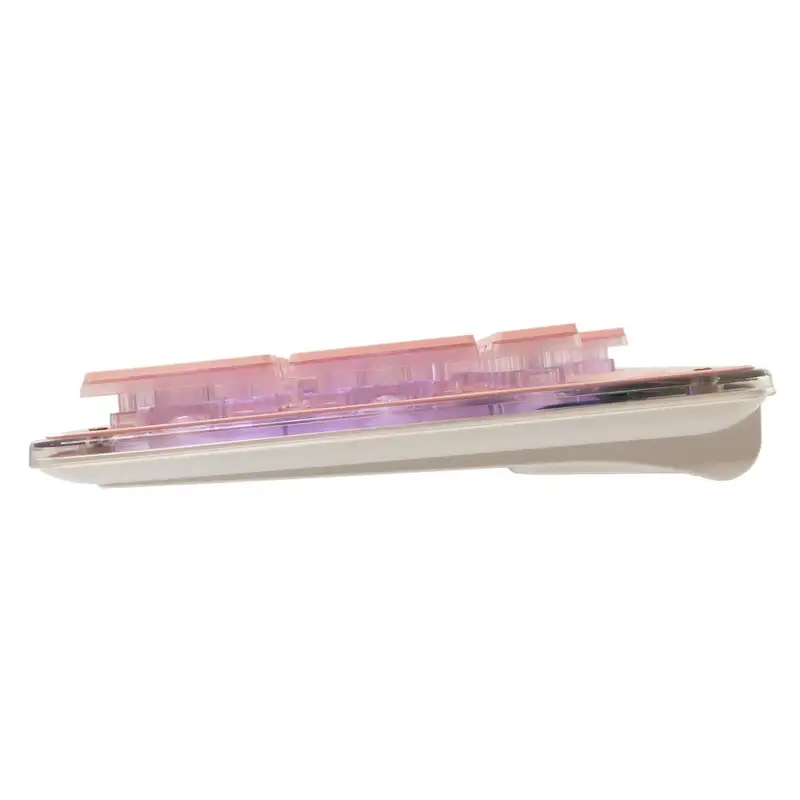 WHITE SHARK WS GK 003441 US TACHI Pink