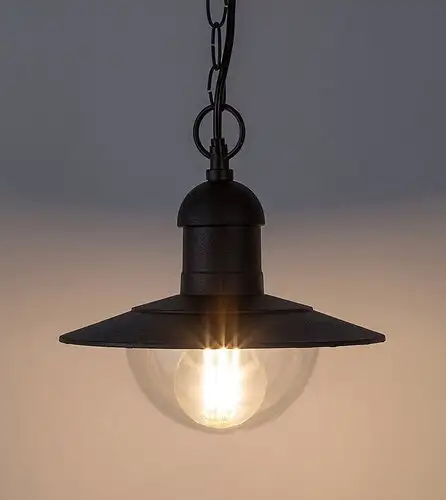 RABALUX Oslo spoljna Visilica E27 60W crno IP44