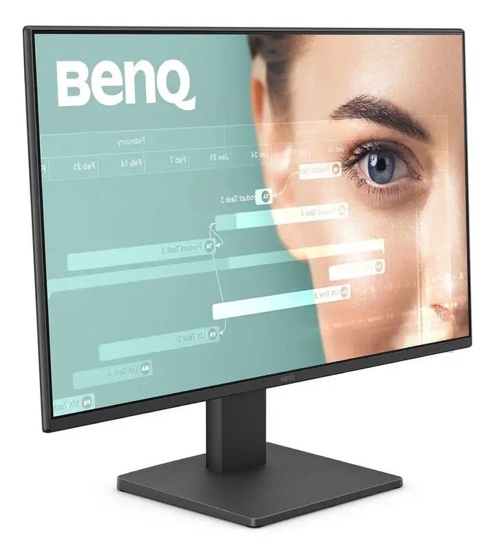 BENQ GW2491