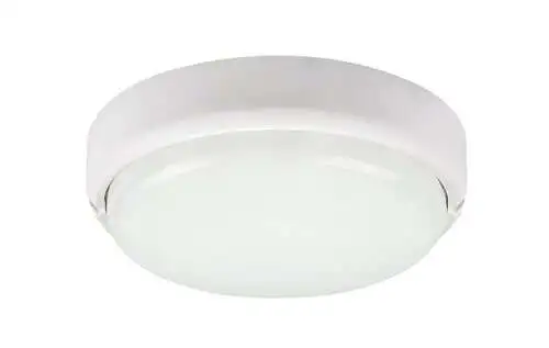 RABALUX Hort spoljna zidna ili plafonska LED lampa: 15W 1300lm 4000K