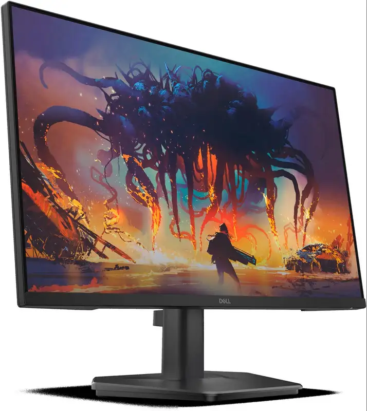 DELL SE2425HG