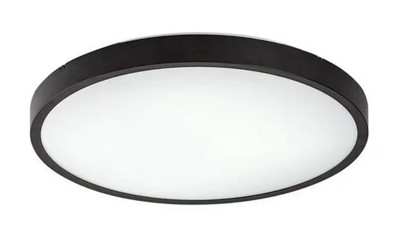 RABALUX Alenzo, LED plafonjera sa daljinskim, dimabilna, 24W, 3000-6000K, 35.5cm, IP44, crna