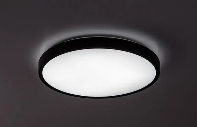 RABALUX Alenzo, LED plafonjera sa daljinskim, dimabilna, 24W, 3000-6000K, 35.5cm, IP44, crna