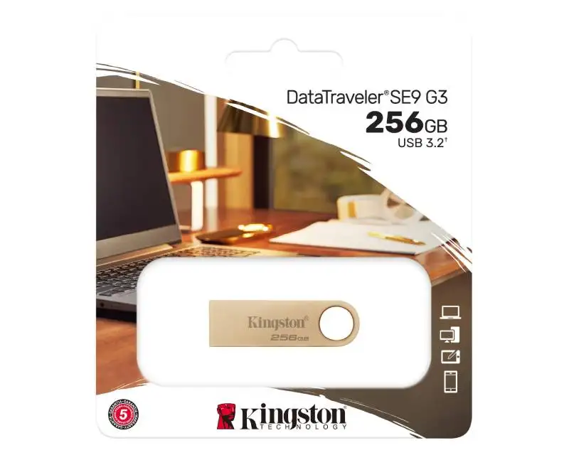 KINGSTON 256GB DTSE9G3/256GB