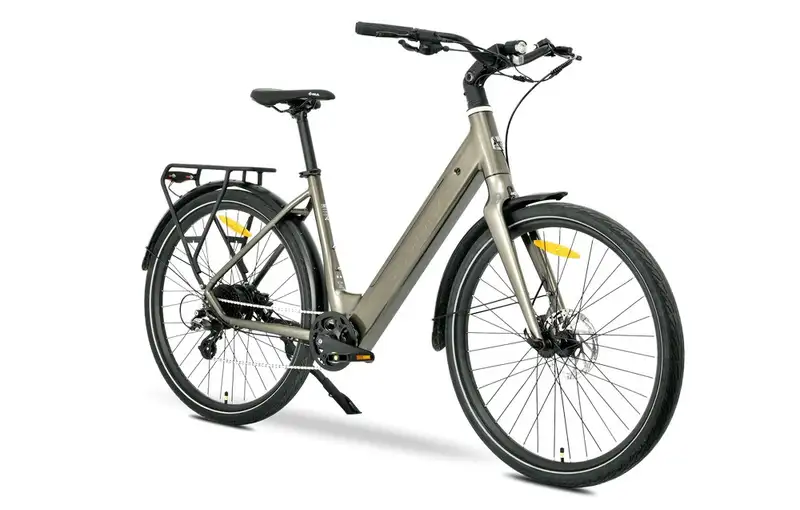 MS ENERGY eBike Zorya Bronze