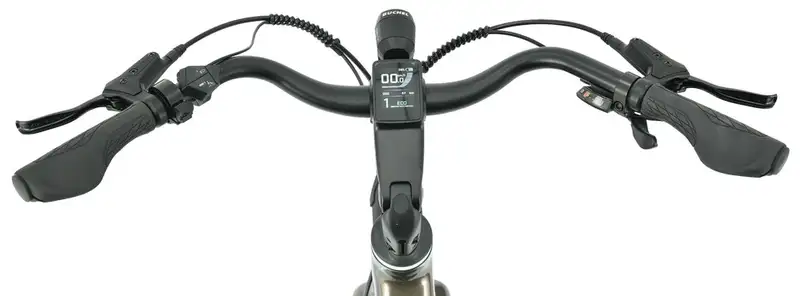 MS ENERGY eBike Zorya Bronze