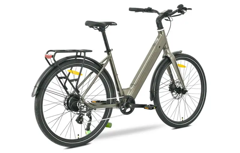 MS ENERGY eBike Zorya Bronze