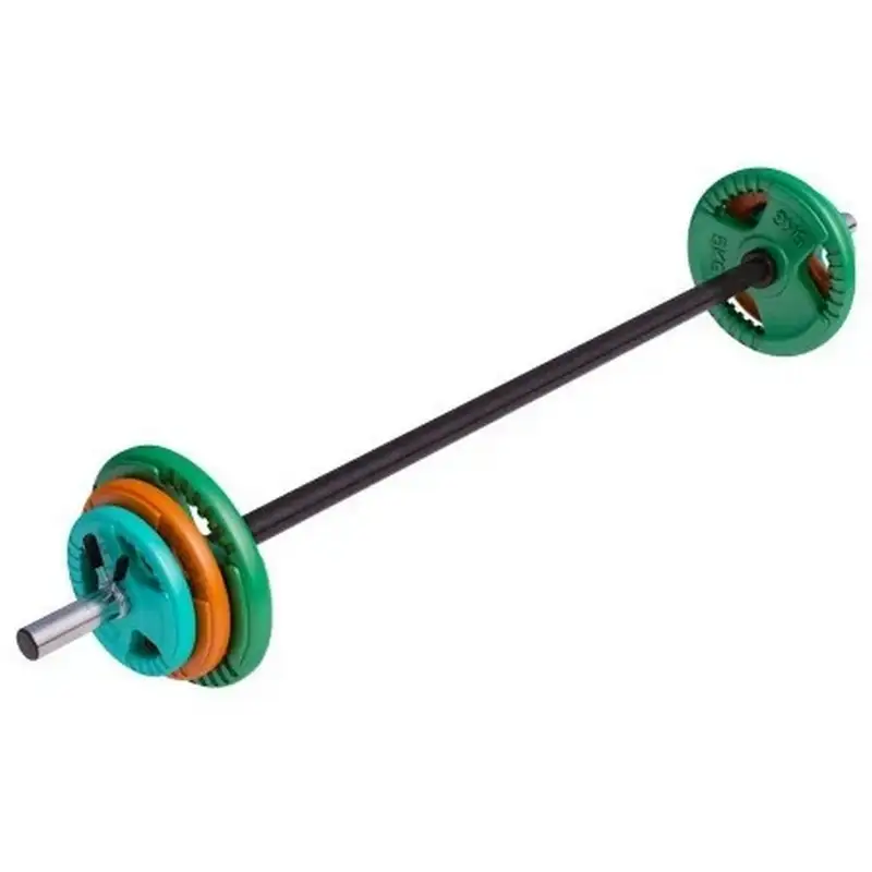 GORILLA SPORTS Sipka za aerobik sa tegovima i 2 sigurnosne opruge za diskove (19,3 kg)