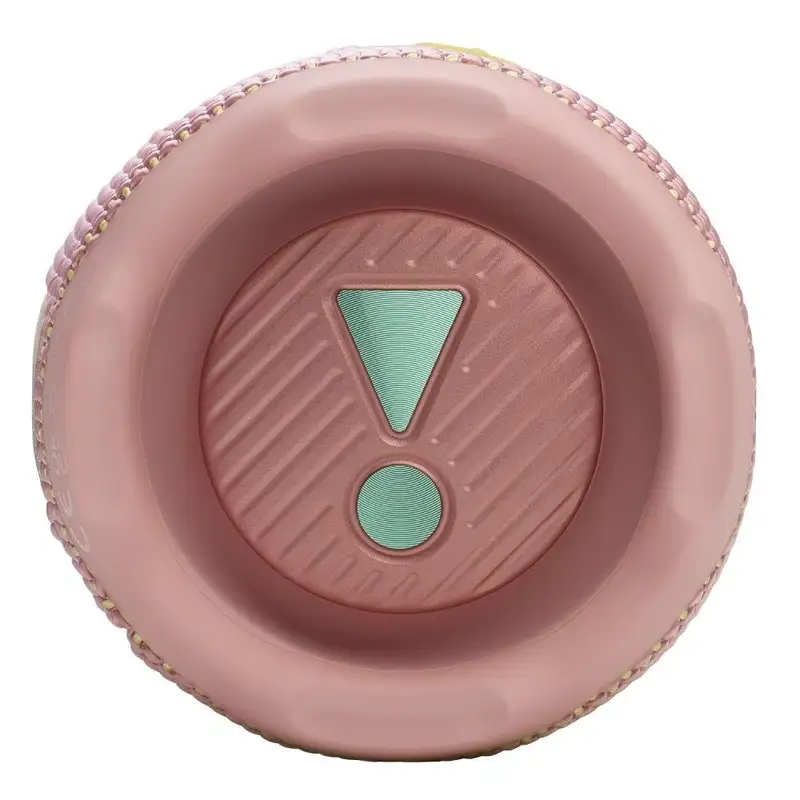 JBL Flip 7 Pink