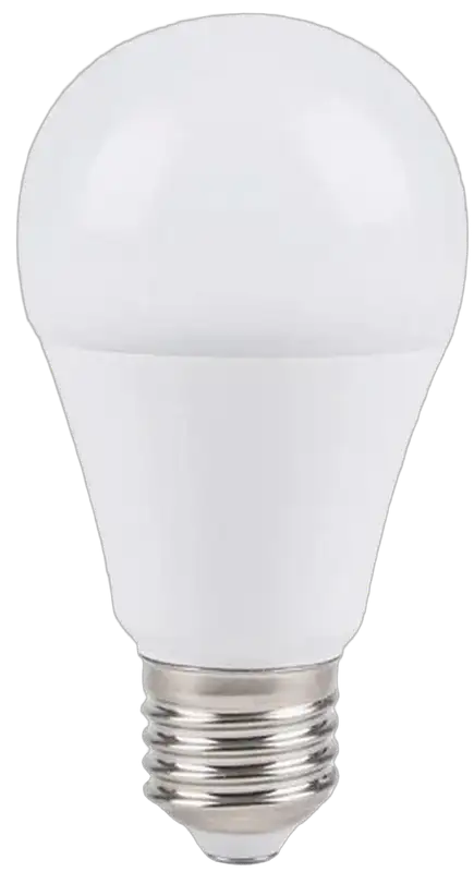 RABALUX Sijalica LED E27, 12W, 1090lm, 6500K