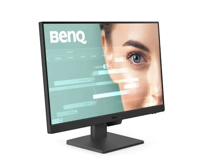 BENQ GW2490