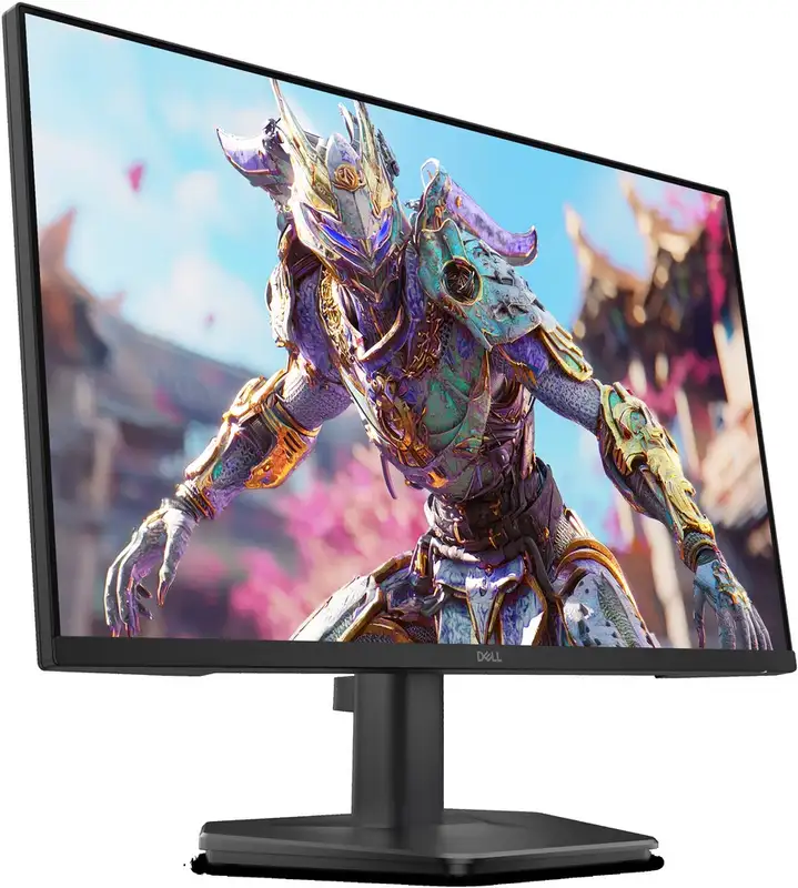 DELL SE2426HG