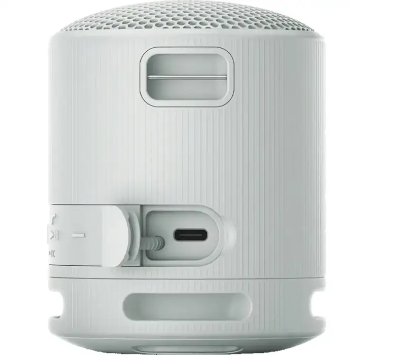 SONY SRSXB100H.CE7